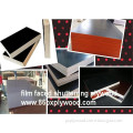 Waterprooof Film Faced Shuttering Plywood for Consturction